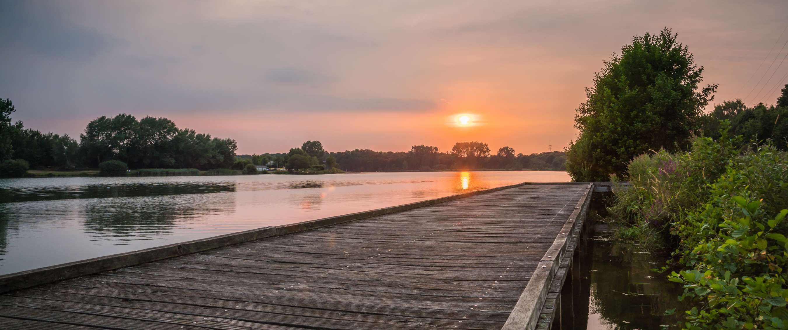 De Paalse Plas in Beringen