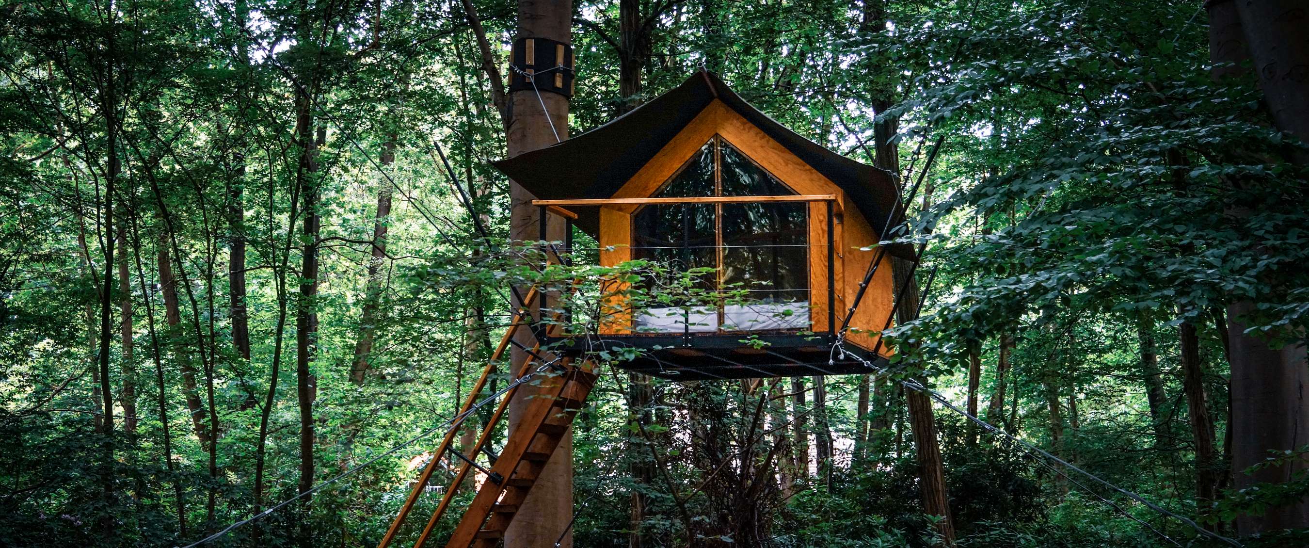 Boomhut Boomkamp