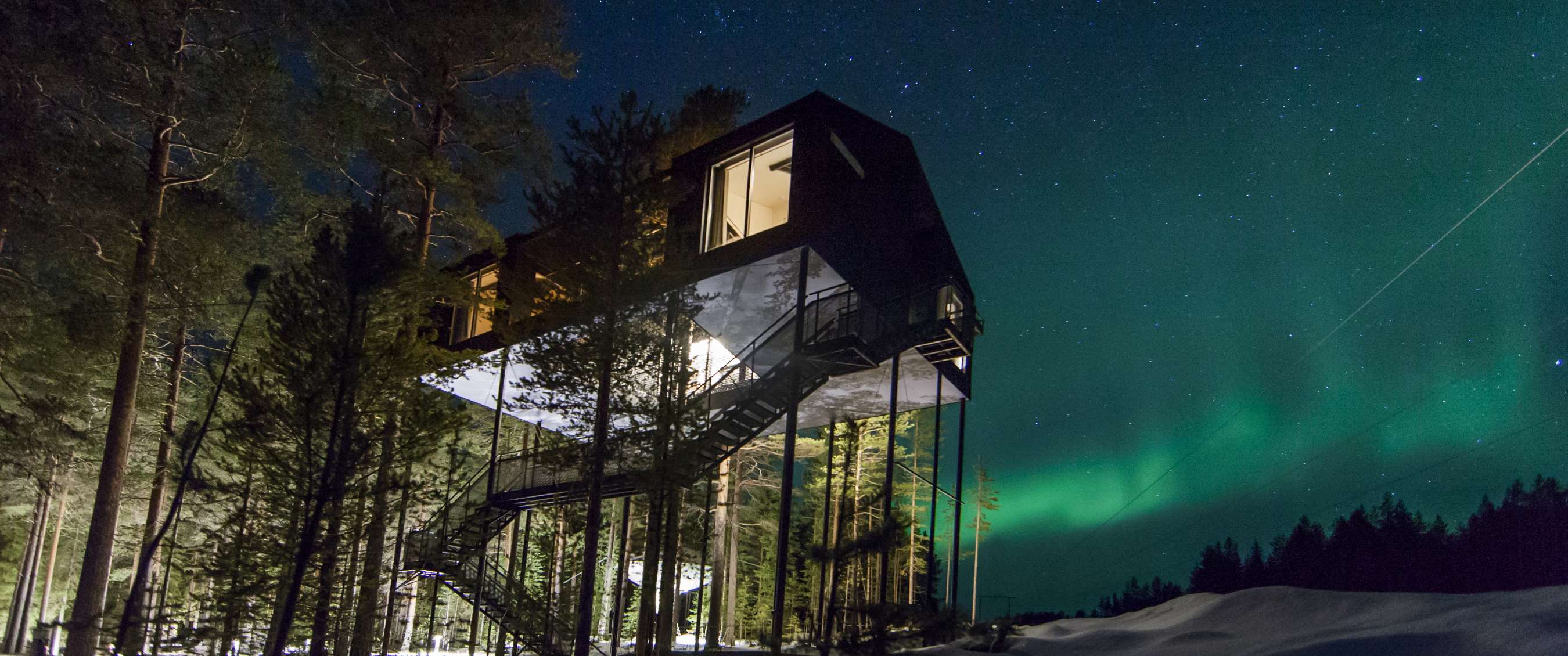 Boomhut Treehotel