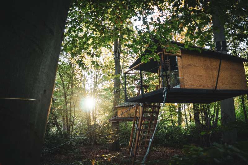Origineel overnachten: slaap eens in een boomhut