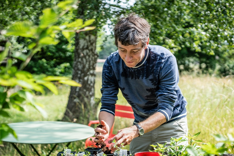 Op stoepsafari: bioloog Wim ziet overal natuur