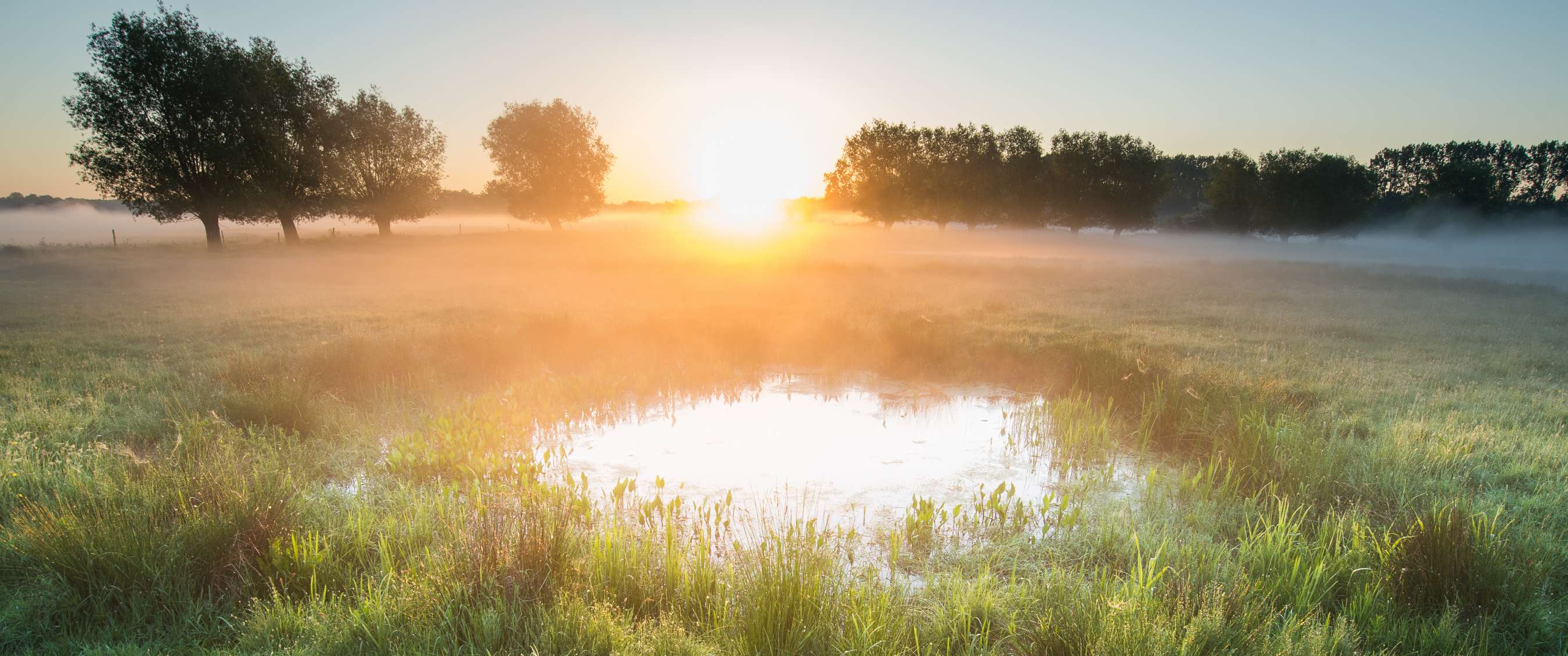 Wandelroute van A.S.Adventure en Natuurpunt in het Mechels Broek