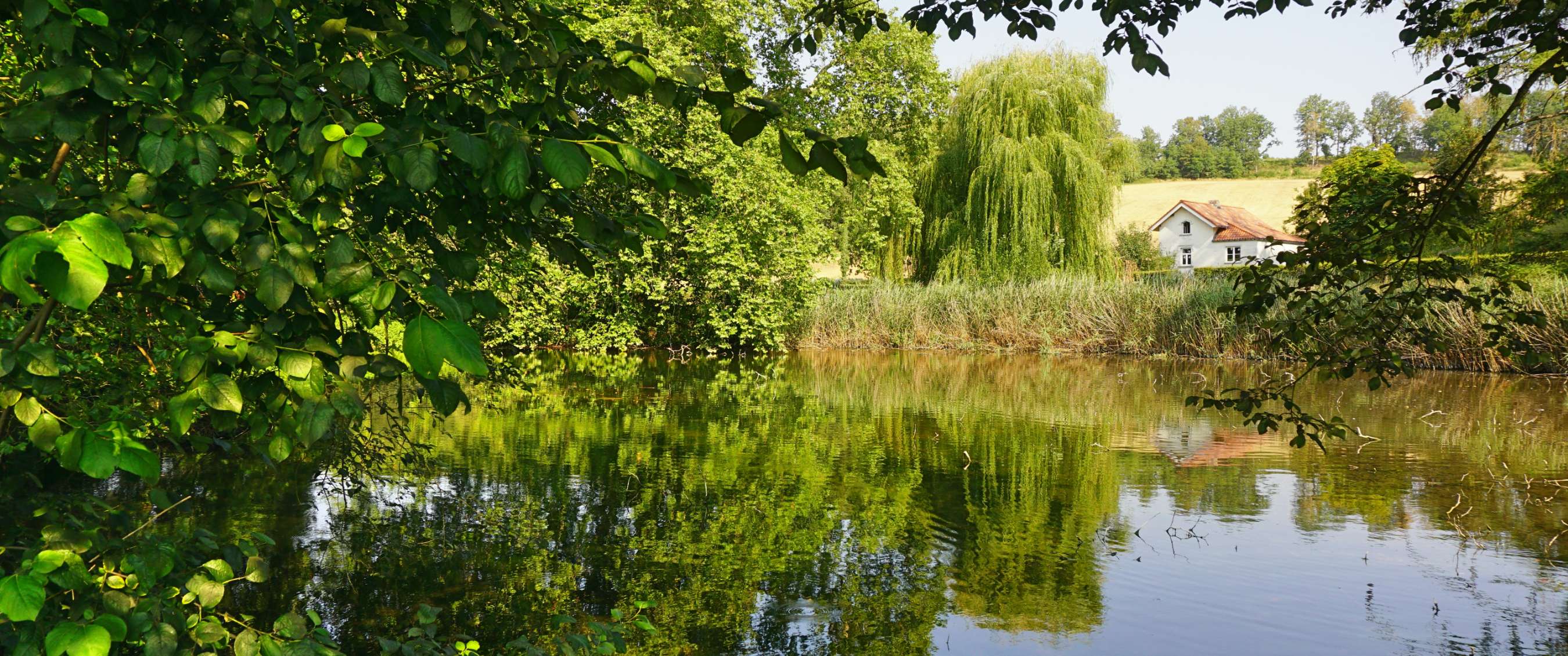 Wandelroute van A.S.Adventure en Natuurpunt in Altenbroek