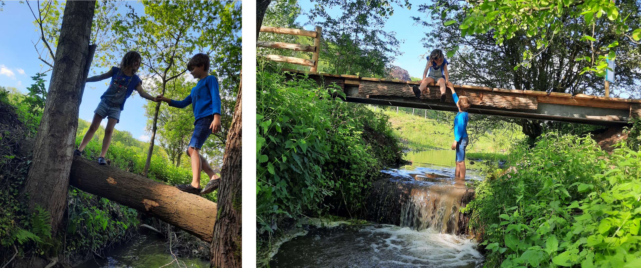Wandelroute van A.S.Adventure en Natuurpunt in Altenbroek